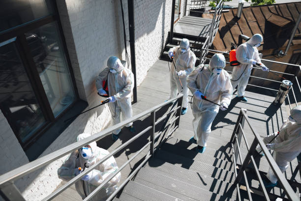 Best Basement Mold Removal  in Carteret, NJ