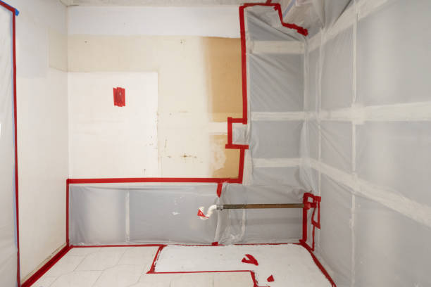 Best Mold Damage Restoration  in Carteret, NJ