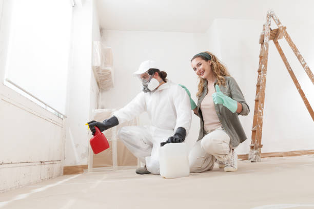 Best Attic Mold Removal  in Carteret, NJ
