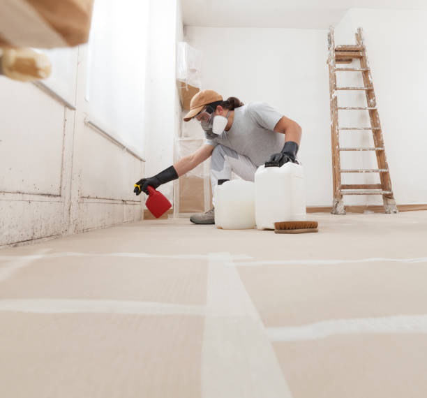 Best Forensic Mold Investigation  in Carteret, NJ