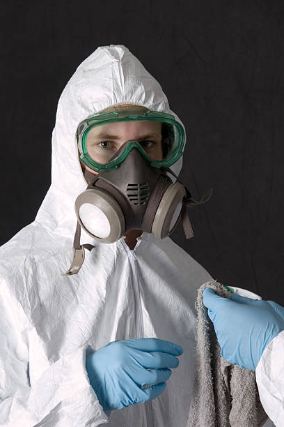 Best Asbestos and Lead Testing During Mold Inspection  in Carteret, NJ